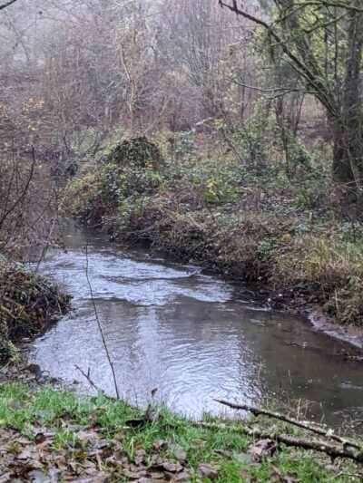 Arnold Park - Vancouver, WA