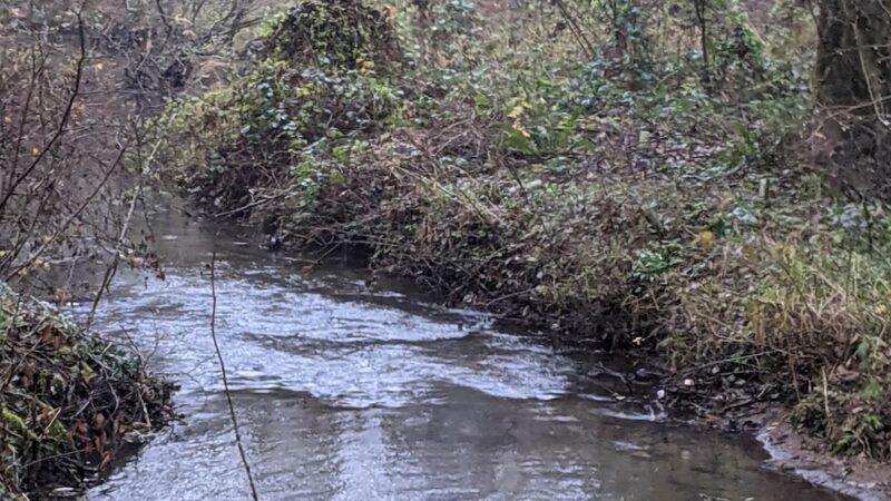 Arnold Park - Vancouver, WA
