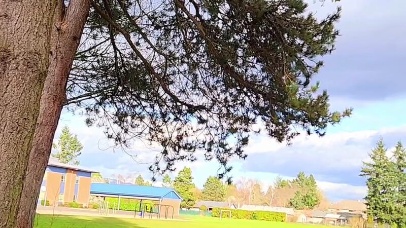 Cascade Park - Vancouver, WA