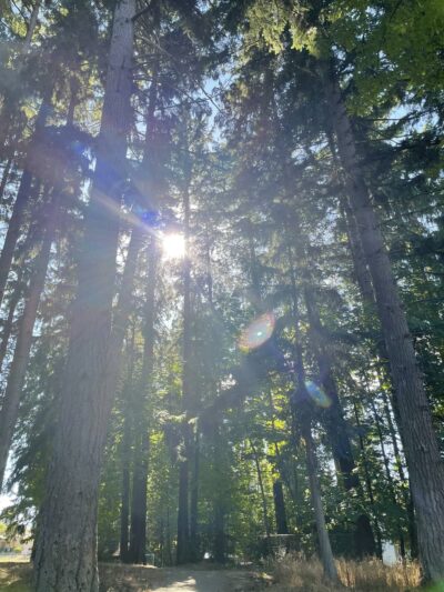 Dark Park - Vancouver, WA