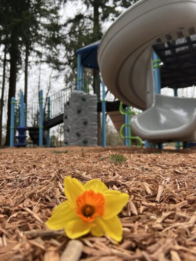 Dark Park - Vancouver, WA