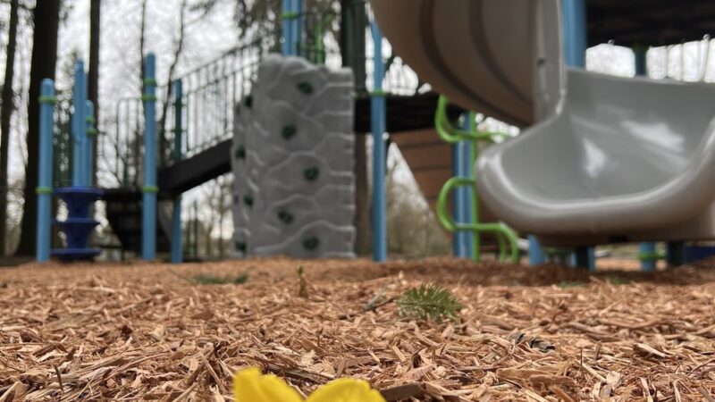 Dark Park - Vancouver, WA