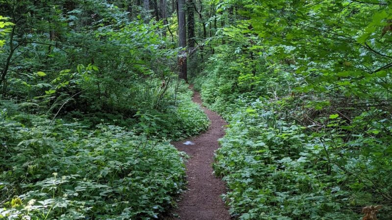 David Douglas Park - Vancouver, WA