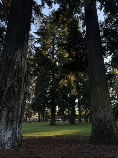 Evergreen Park - Vancouver, WA