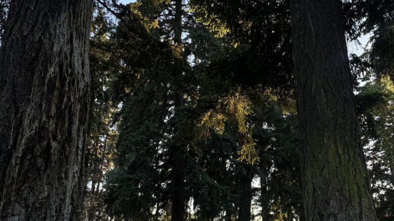 Evergreen Park - Vancouver, WA