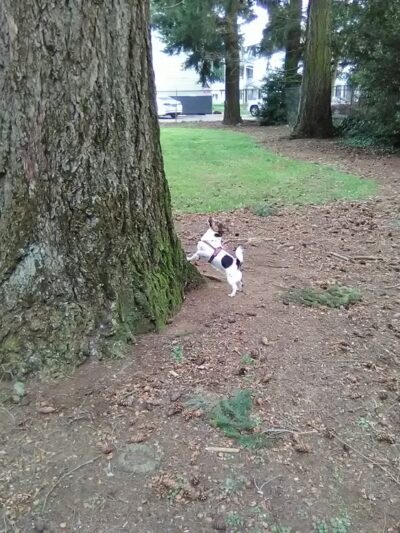 Evergreen Park - Vancouver, WA