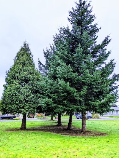 Father Blanchet Park - Vancouver, WA