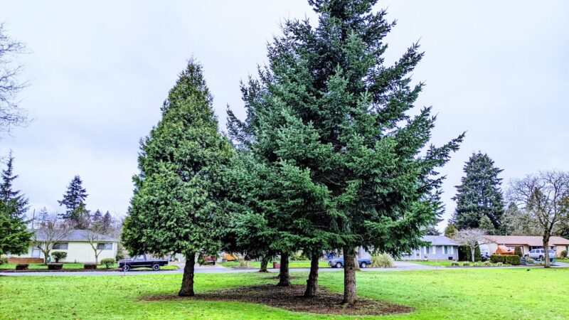Father Blanchet Park - Vancouver, WA