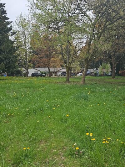 Lauren Park - Vancouver, WA