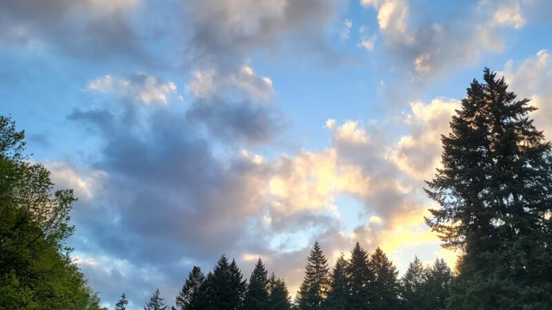 Orchards Community Park - Vancouver, WA