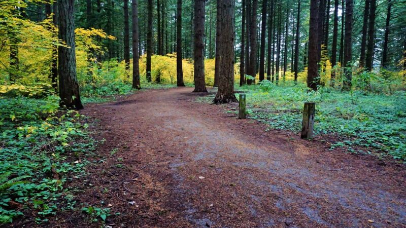Orchards Community Park - Vancouver, WA