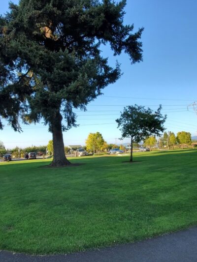 Pacific Community Park - Vancouver, WA