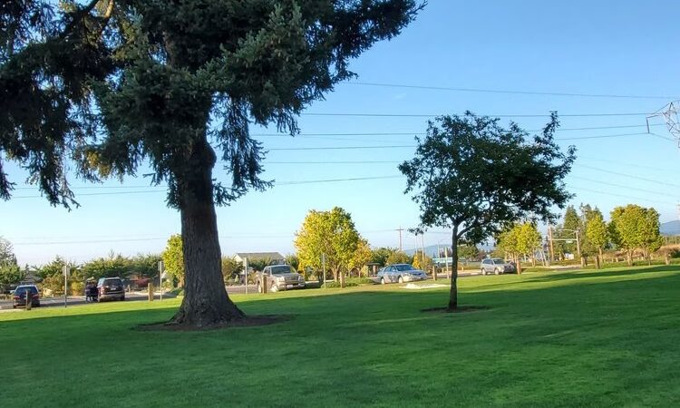 Pacific Community Park - Vancouver, WA
