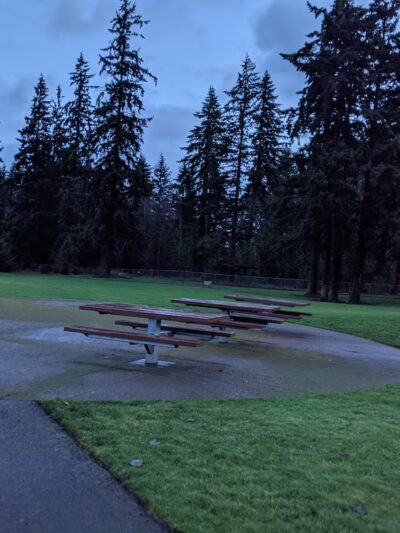 Pet Drinking Fountain - Vancouver, WA