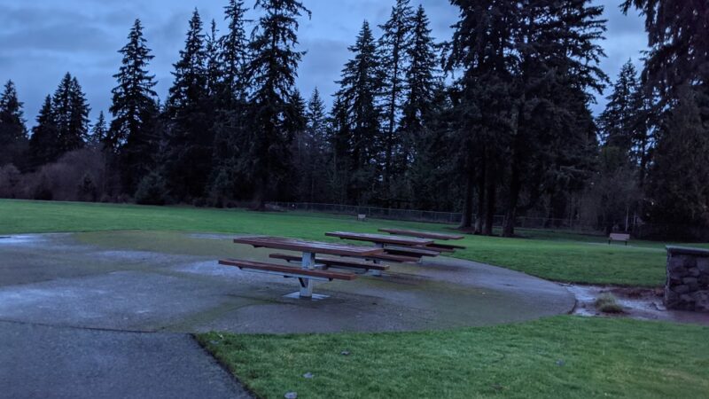 Pet Drinking Fountain - Vancouver, WA
