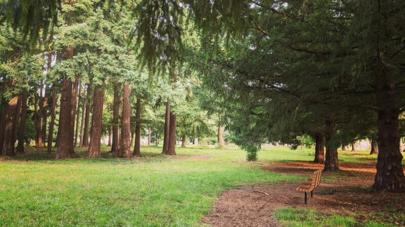 Raymond E. Shaffer Community Park - Vancouver, WA