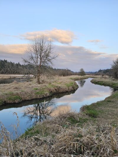 Salmon Creek Greenway Trail - Vancouver, WA