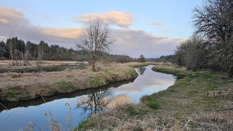 Salmon Creek Greenway Trail - Vancouver, WA