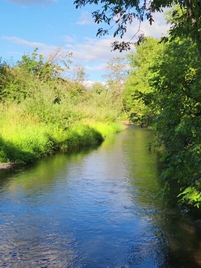 Salmon Creek Greenway Trail - Vancouver, WA