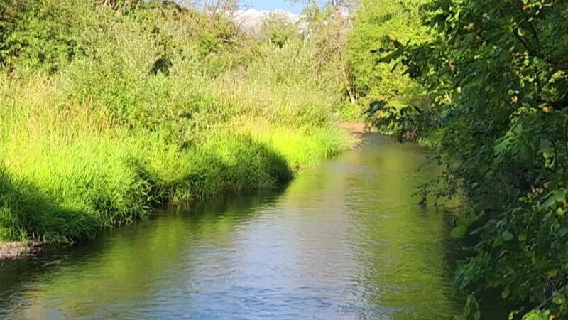 Salmon Creek Greenway Trail - Vancouver, WA