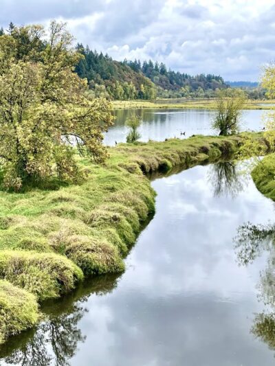 Salmon Creek Greenway Trail - Vancouver, WA