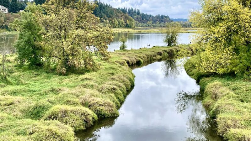 Salmon Creek Greenway Trail - Vancouver, WA