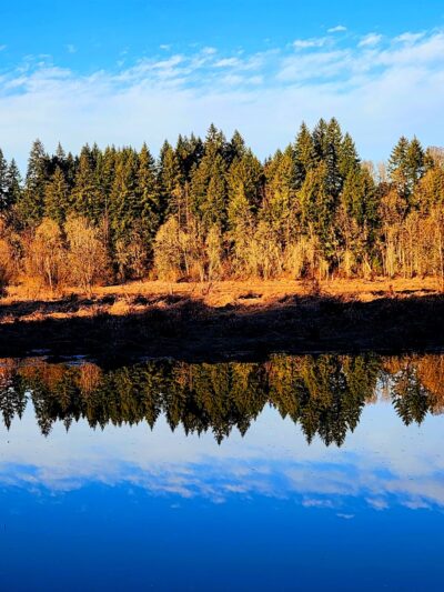 Salmon Creek Greenway Trail - Vancouver, WA