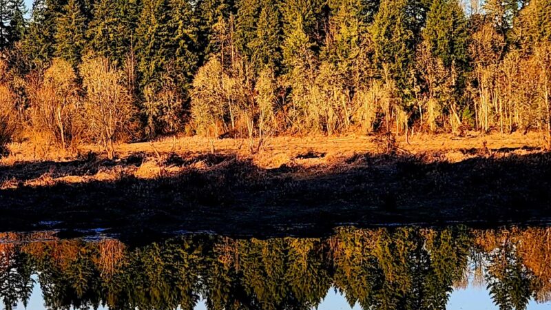 Salmon Creek Greenway Trail - Vancouver, WA