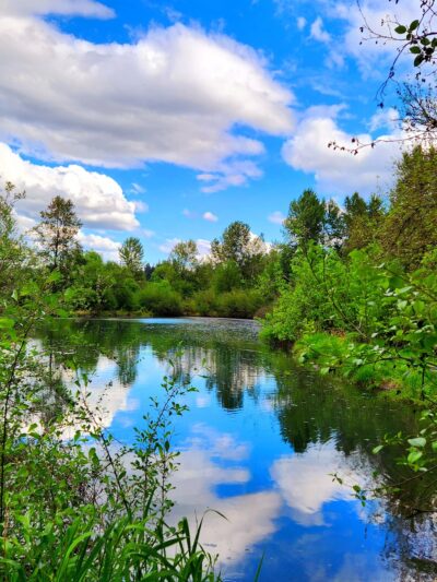 Salmon Creek Greenway Trail - Vancouver, WA