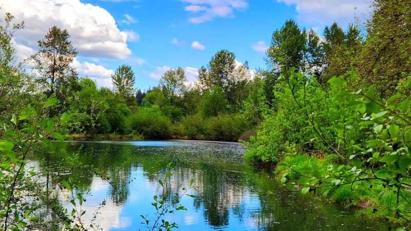 Salmon Creek Greenway Trail - Vancouver, WA