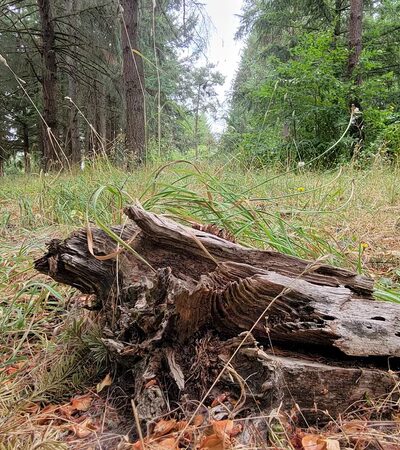 Sunset Park - Vancouver, WA