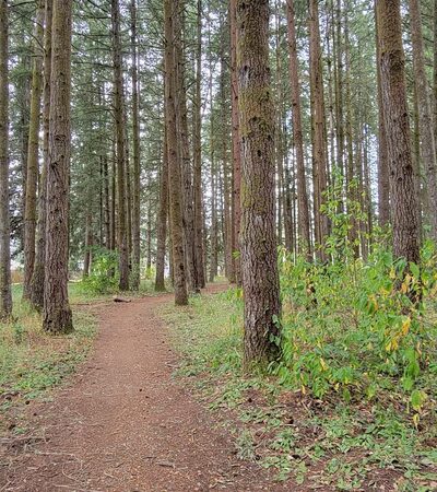 Sunset Park - Vancouver, WA