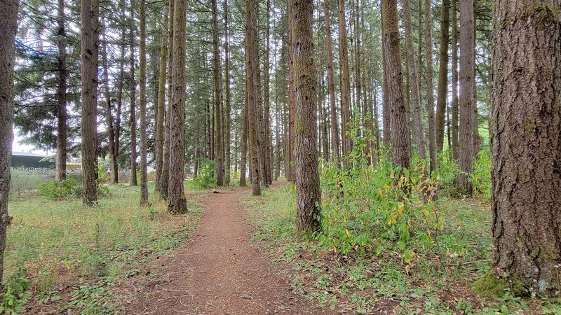 Sunset Park - Vancouver, WA