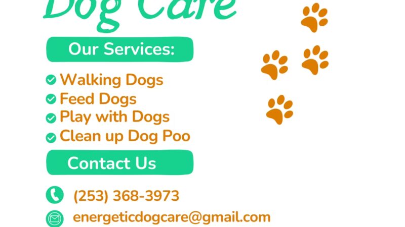 Vashon Energetic Dog Care - ,