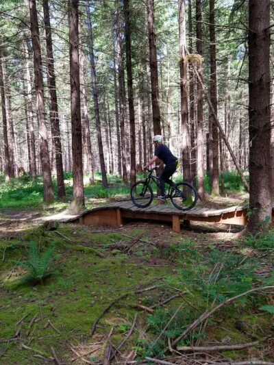 Dockton Forest - Mountain Bike Trails - Vashon, WA