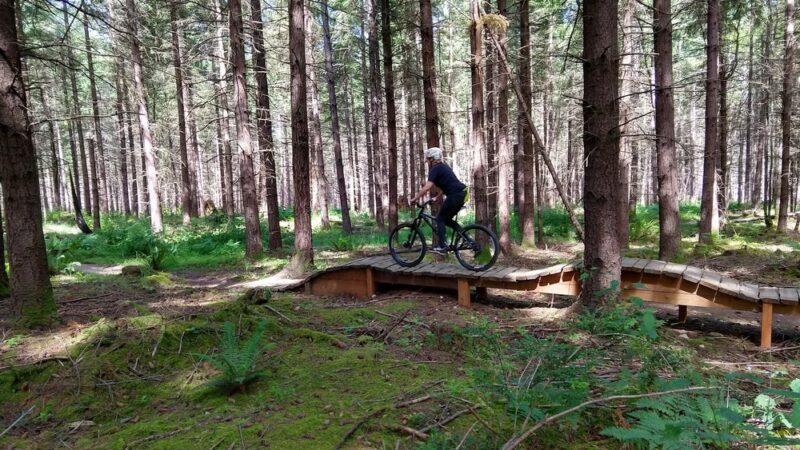 Dockton Forest - Mountain Bike Trails - Vashon, WA