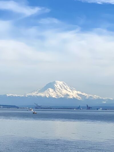 Dockton Forest - Mountain Bike Trails - Vashon, WA