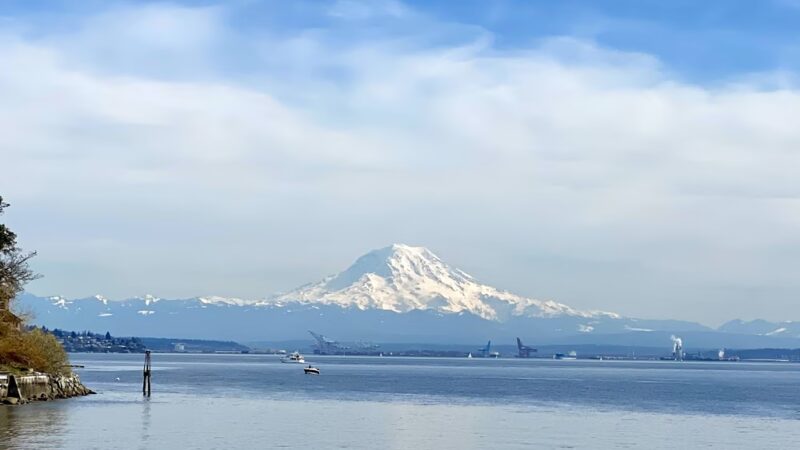 Dockton Forest - Mountain Bike Trails - Vashon, WA