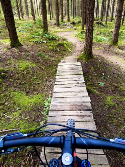 Dockton Forest - Mountain Bike Trails - Vashon, WA