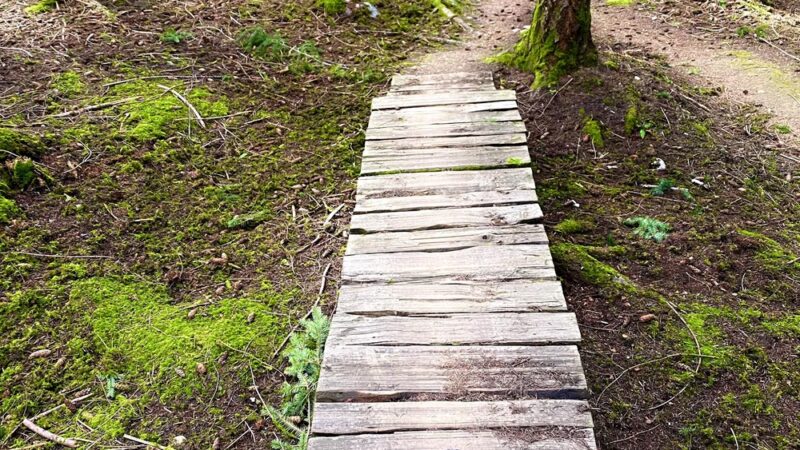 Dockton Forest - Mountain Bike Trails - Vashon, WA