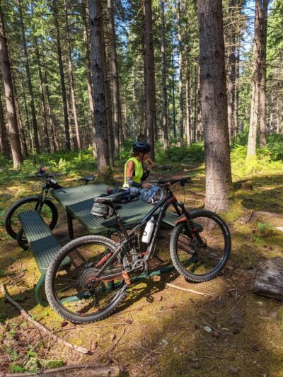 Dockton Forest - Mountain Bike Trails - Vashon, WA