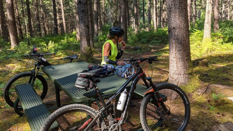 Dockton Forest - Mountain Bike Trails - Vashon, WA
