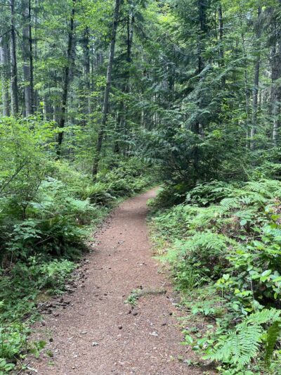 Fisher Pond - Vashon, WA