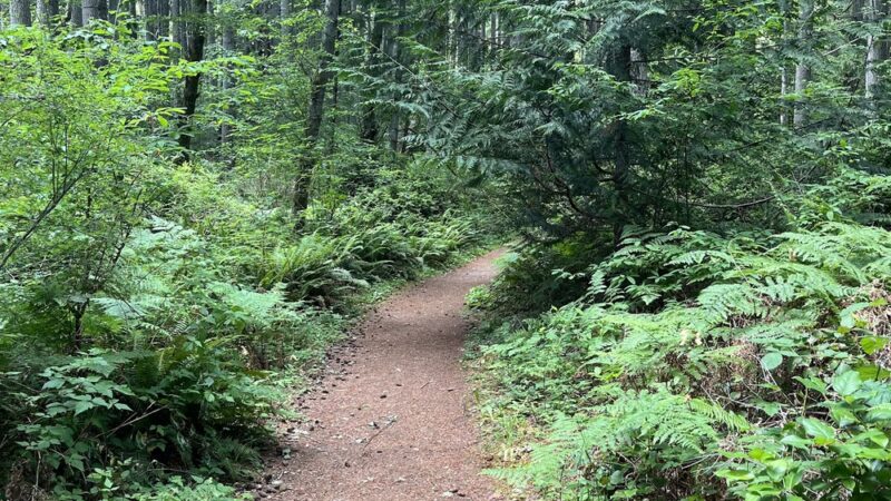 Fisher Pond - Vashon, WA