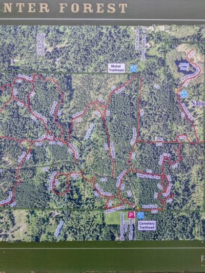 Island Center Forest 188th Trailhead - Vashon, WA