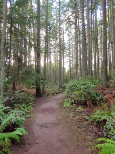 Island Center Forest 188th Trailhead - Vashon, WA