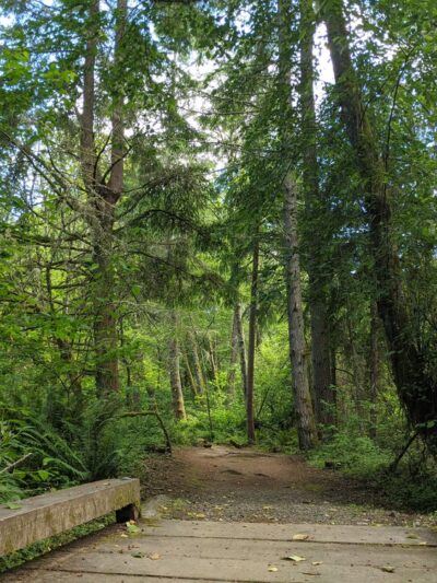 Island Center Forest 188th Trailhead - Vashon, WA
