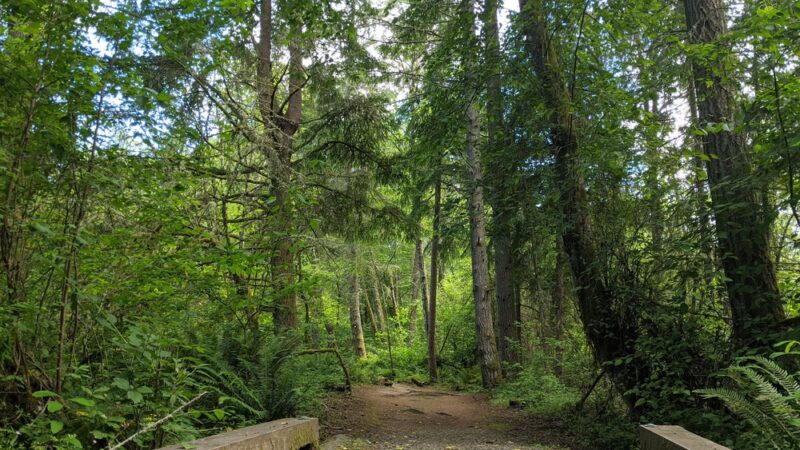 Island Center Forest 188th Trailhead - Vashon, WA