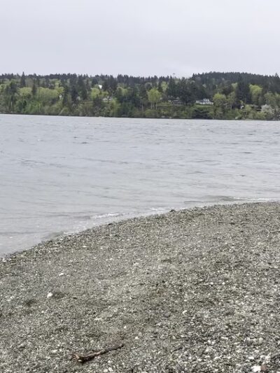 Jensen Point Park - Vashon, WA