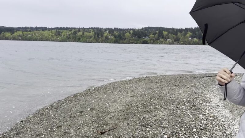 Jensen Point Park - Vashon, WA